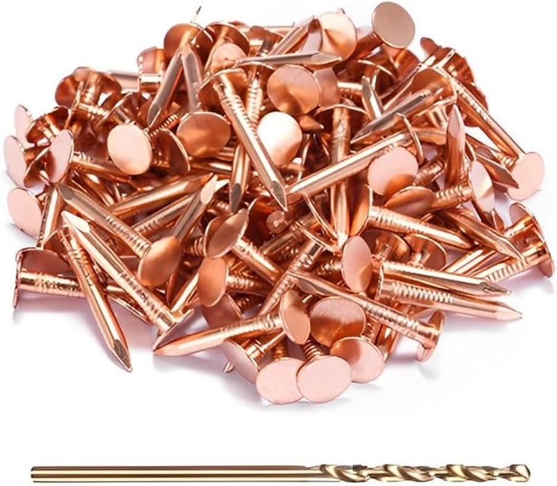 GOORY 500Pcs Copper Nails 1 Inch - with 1/16 Inch Drill Bit - 99.95% Pure Copper Roofing Nails Slate Spikes Flashing Furniture Boat for Roof Repair, Tree Stump Remover, DIY Project - Image 1